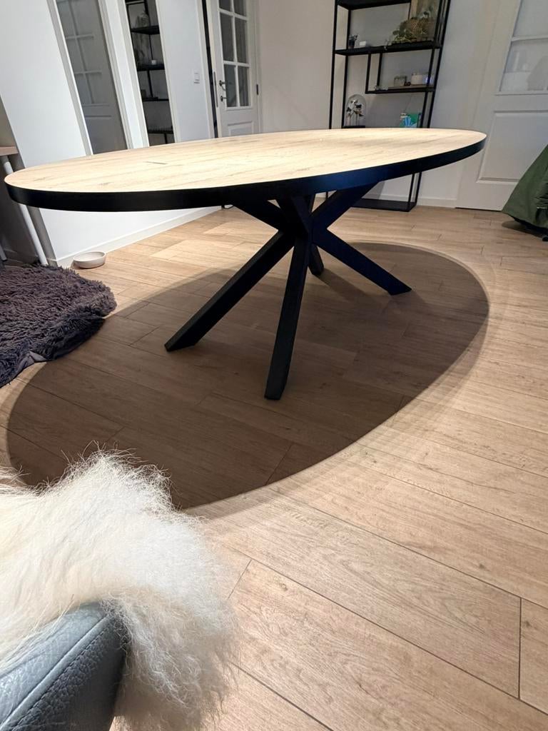 Mooie ovale tafel, Huis en Inrichting, Tafels | Eettafels, Ophalen, Gebruikt