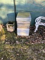 ruche en bois d'occasion, Janvier, Sexe inconnu