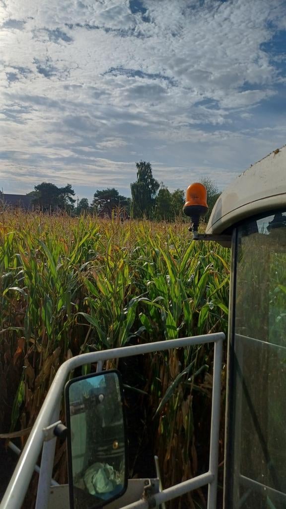 Mais kuilmais, Zakelijke goederen, Ophalen