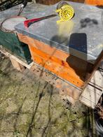 Carnica bijenvolk, Abeilles