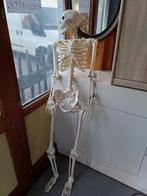 Te koop skelet compleet, Ophalen