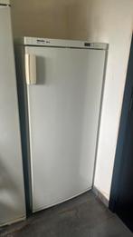 Diepvrieskast Miele, Elektronische apparatuur, Vriezers en Diepvrieskisten, Gebruikt, 140 tot 160 cm, Ophalen, Vrieskast