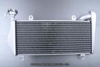 Radiateur radiatoren AVDB DUCATI STREETFIGHTER V2 2022 2024