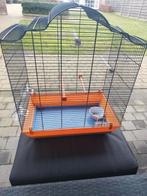 Vogelkooi, Ophalen, Zo goed als nieuw, Metaal, Vogelkooi