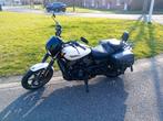Harley Davidson Street 750, Motos, Plus de 35 kW, Chopper, 2 cylindres, Particulier