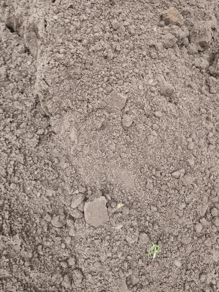 SURPLUS DE TERRE VÉGÉTALE LIBRE 1,5 à 2 m3 environ, Jardin & Terrasse, Enlèvement, Terre pour jardin