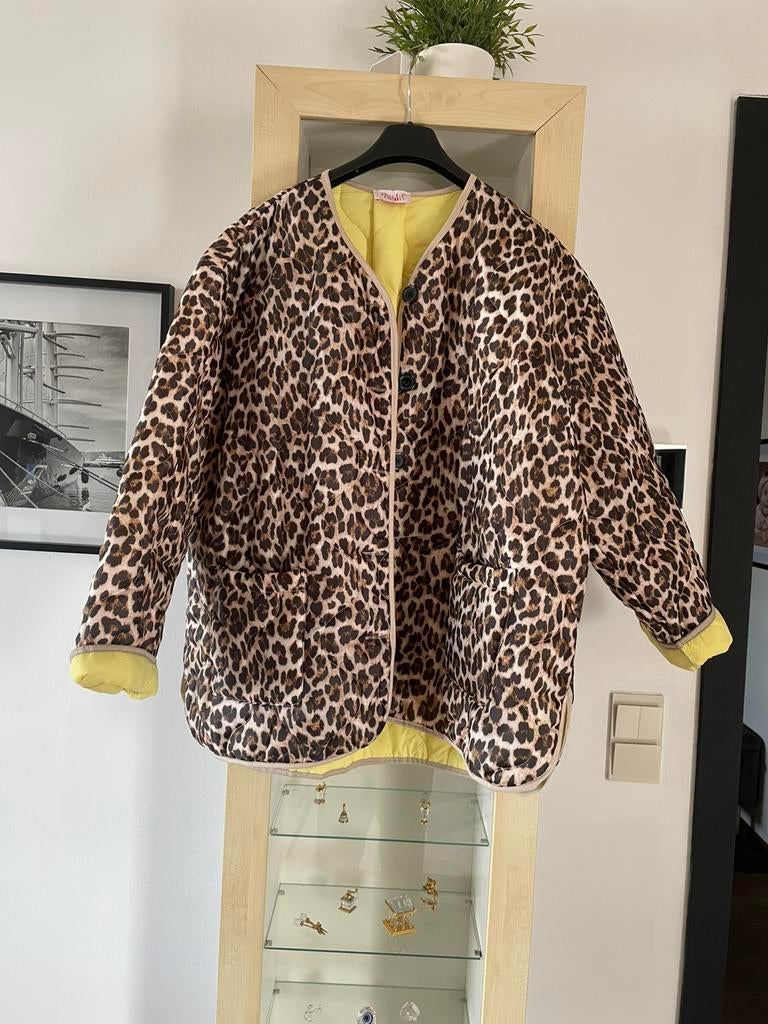Perla  bella trendy jas maat tu, Kleding | Dames, Jassen | Zomer, Ophalen of Verzenden, Zo goed als nieuw