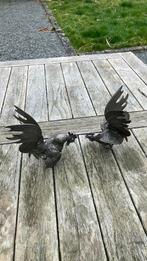 Coqs, Enlèvement, Comme neuf