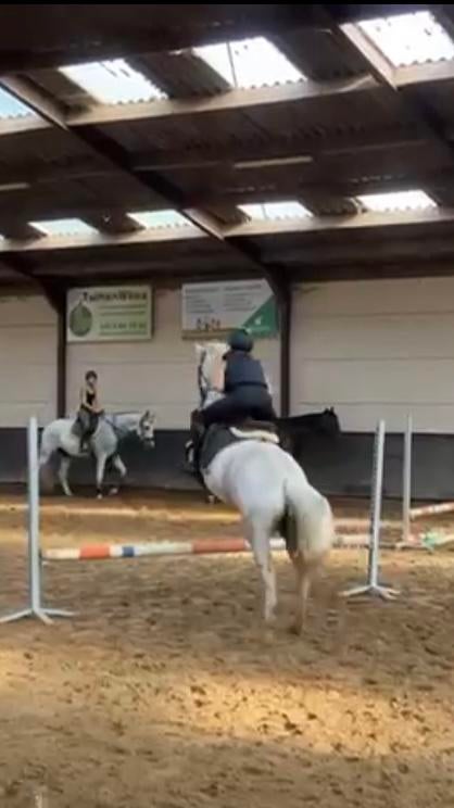 Aangeboden: bijrijde, Dieren en Toebehoren, Paarden en Pony's | Verzorgingsproducten, Zo goed als nieuw, Ophalen of Verzenden