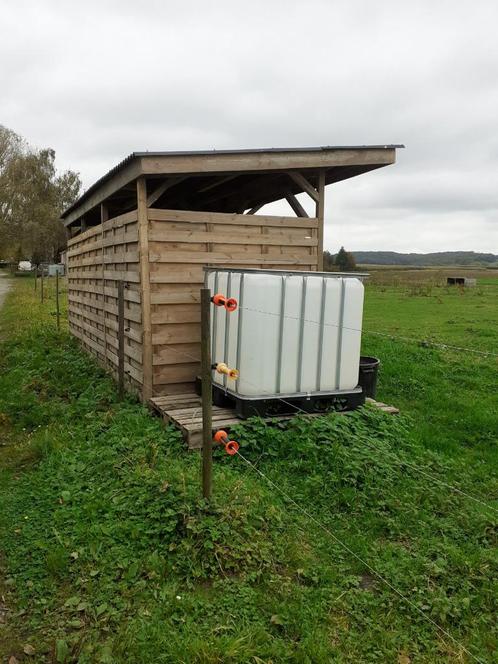 Weide te huur, Dieren en Toebehoren, Stalling en Weidegang, Weidegang, 4 paarden of pony's of meer