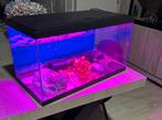Aquarium, Ophalen
