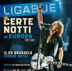 Ligabue en concert Belgique le 12 mai 2026 certes notte., Tickets & Billets, Mai