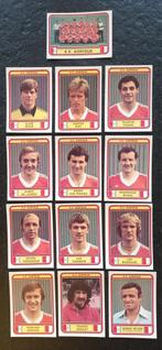 PANINI FOOT 79 - 13 stickers (KV KORTRIJK), Verzamelen, Sportartikelen en Voetbal, Ophalen of Verzenden, Zo goed als nieuw