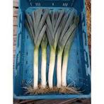 Verse prei, Zakelijke goederen, Ophalen