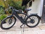 Stromer St3 Pinion, Fietsen en Brommers, Ophalen, Zo goed als nieuw, Stromer