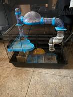Hamsterkooi, Dieren en Toebehoren, Ophalen