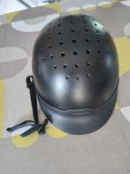 Bombe, Animaux & Accessoires, Enlèvement