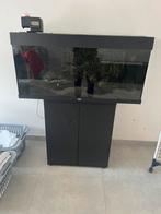 Aquarium juwel rio 180 met kast ,ledverlichting,vissen, Ophalen of Verzenden