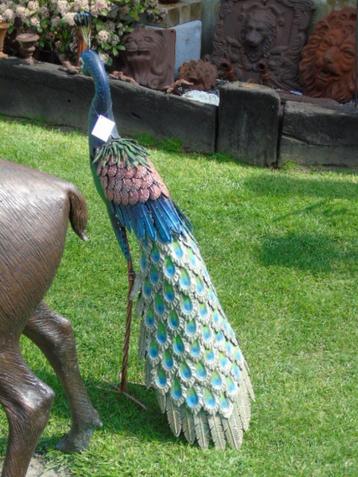 een staande pauw in smeedijzer van Colors..., Tuin en Terras, Ophalen, Nieuw, Metaal, Dierenbeeld