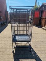 Vogel kooi, Ophalen, Gebruikt, Metaal, Vogelkooi