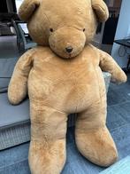 Beer, Collections, Ours & Peluches, Enlèvement, Comme neuf, Ours en tissus, Autres marques