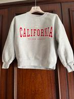 Grijze sweater van America Today 9 jaar 134 cm, America Today, Jongen of Meisje, Ophalen of Verzenden, Zo goed als nieuw