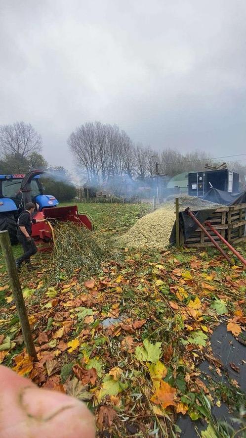 tuinaanleg en onderhoud, Tuin en Terras, Planten | Struiken en Hagen, Ophalen of Verzenden