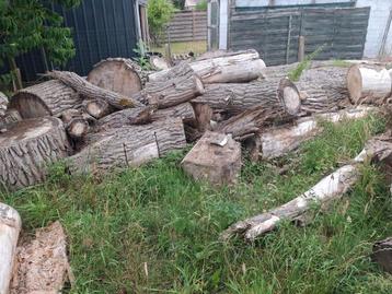 Popelier droog kan geladen worden  beschikbaar voor biedingen