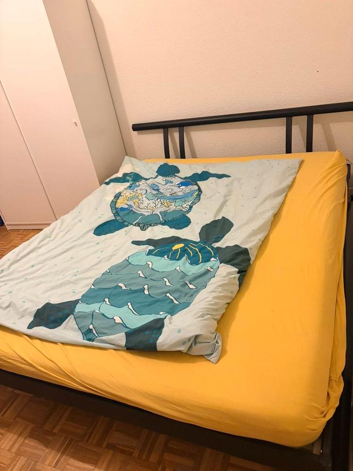 Lit double 160 cm x 200 cm + sommiers, Maison & Meubles, Chambre à coucher | Lits, Utilisé, Deux personnes, 160 cm, 200 cm, Métal