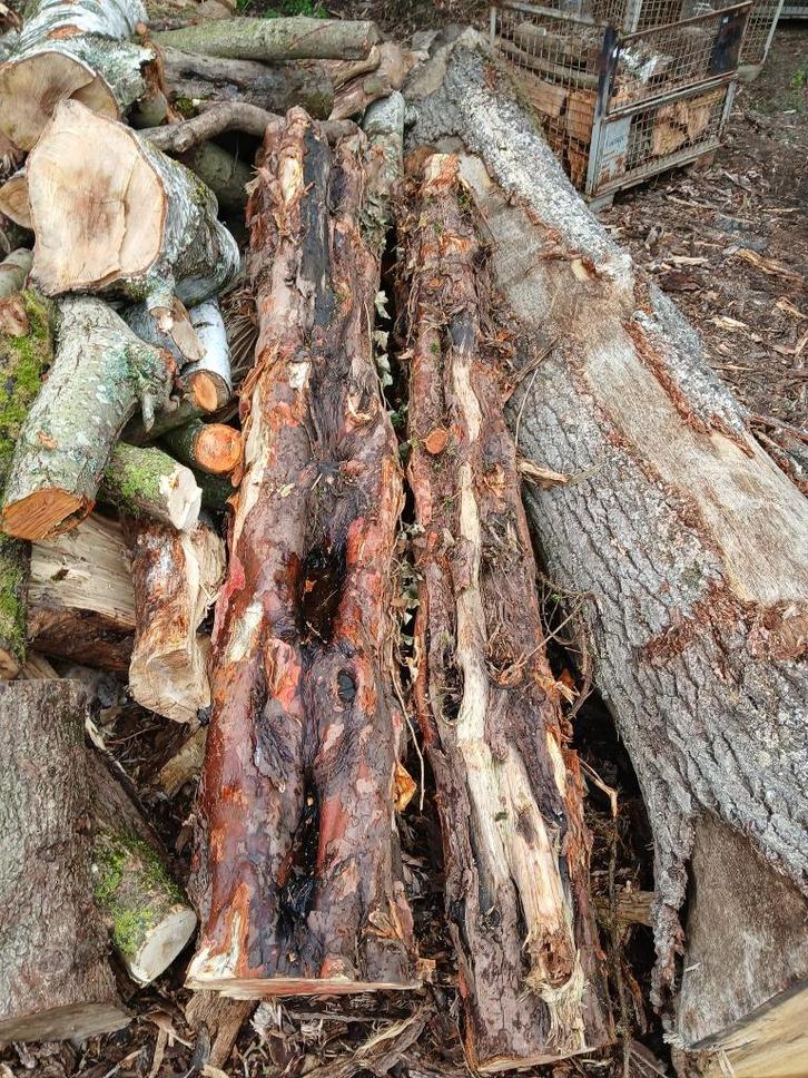 Taxus stammen van houtbewerking, Doe-het-zelf en Bouw, Hout en Planken, Gebruikt, Overige typen, Overige houtsoorten, 200 tot 250 cm