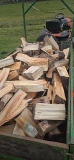 BRANDHOUT, Enlèvement ou Envoi