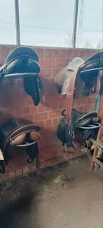 Lot paardenspullen, Dieren en Toebehoren, Ophalen