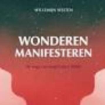 Wonderen manifesteren Willemijn Welten  285 blz beschikbaar voor biedingen