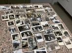 Lotje 51 oude foto’s jaren 50, 1940 tot 1960, Gebruikt, Ophalen of Verzenden, Foto