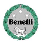 Inkoop Benelli / Achat Benelli, Entreprise
