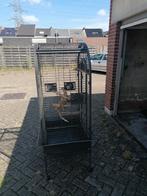 Groot papegaaikot, Dieren en Toebehoren, Vogels | Hokken en Kooien, Ophalen of Verzenden, Zo goed als nieuw