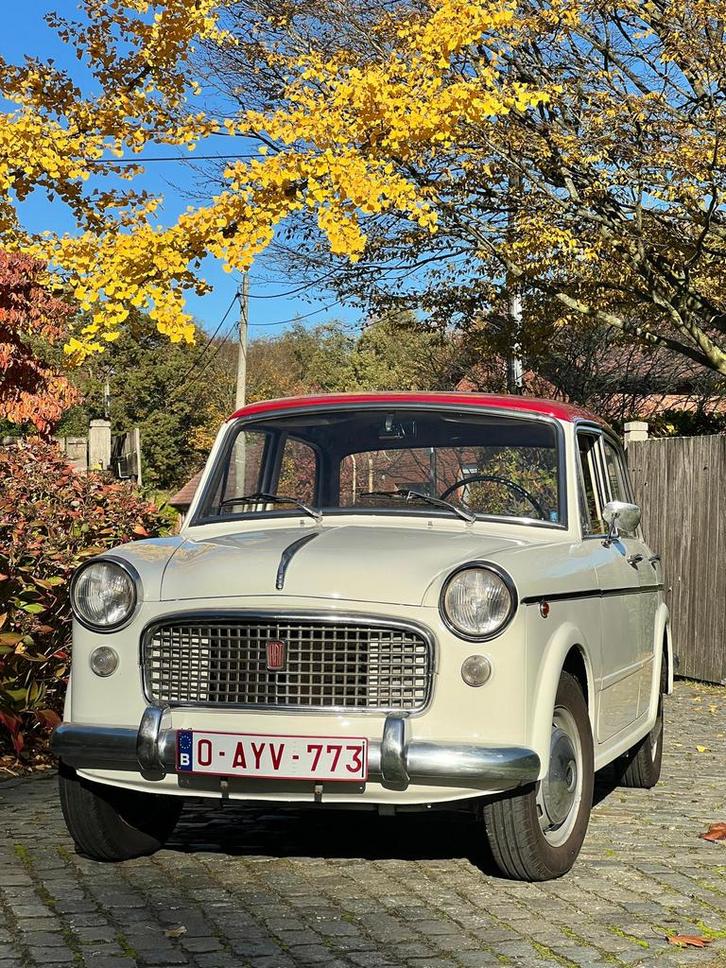 Fiat 1100 speciaal bwj 1961, Auto's, Oldtimers, Particulier, Fiat, Ophalen