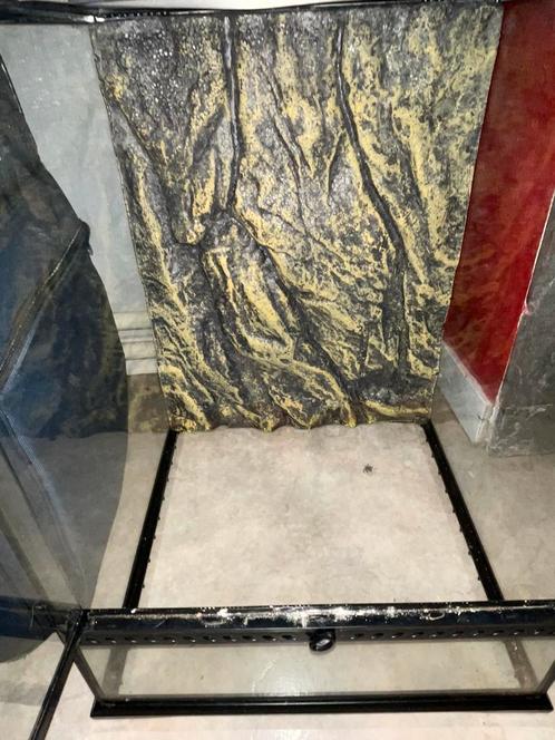 Terrarium te koop, Dieren en Toebehoren, Reptielen en Amfibieën | Toebehoren, Zo goed als nieuw, Terrarium of Paludarium, Ophalen