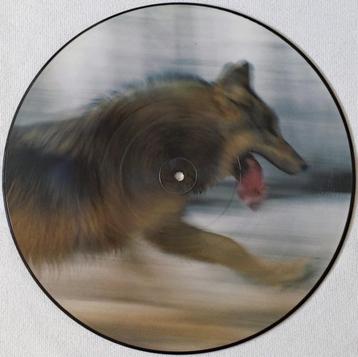 LP Dave Clarke - The Wolf beschikbaar voor biedingen