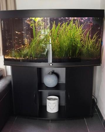 Aquarium Juwel complet 