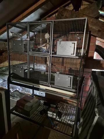 knaagdieren kooi beschikbaar voor biedingen