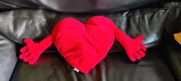 Kussen hart ikea beschikbaar voor biedingen