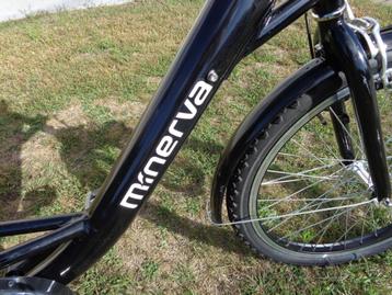nieuwe MINERVA maat 50 beschikbaar voor biedingen