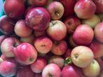 Natuurlijk geteelde appels - zonder chemicaliën, Diversen, Levensmiddelen, Ophalen