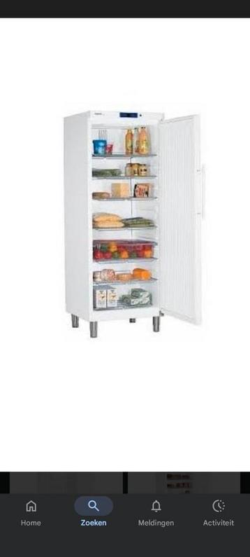 Liebherr profiline GKV6410 663 liter beschikbaar voor biedingen