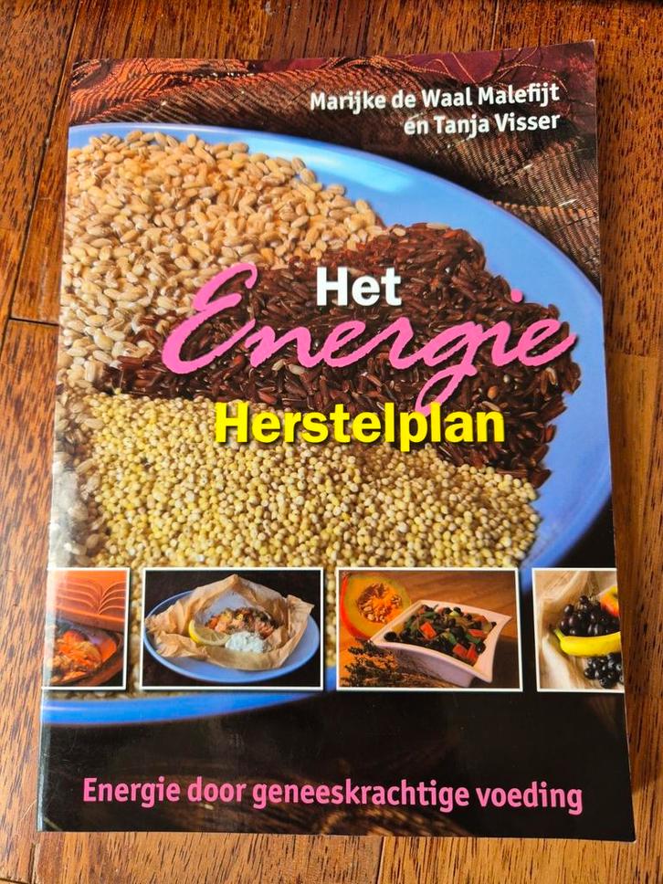 T. Visser - Het Energie Herstelplan, Boeken, Kookboeken, Zo goed als nieuw, Ophalen of Verzenden