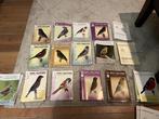 Diverse jaargangen vogeltijdschriften Europese vogels, Dieren en Toebehoren, Vogels | Overige Vogels, Wildzangvogel