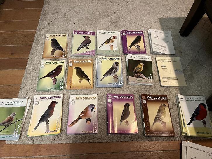 Diverse jaargangen vogeltijdschriften Europese vogels, Dieren en Toebehoren, Vogels | Overige Vogels, Wildzangvogel