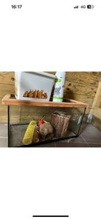 Glazen hamsterkooi, Dieren en Toebehoren, Ophalen, Zo goed als nieuw