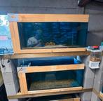 Kweek aquariums 100cm, Dieren en Toebehoren, Ophalen, Zo goed als nieuw
